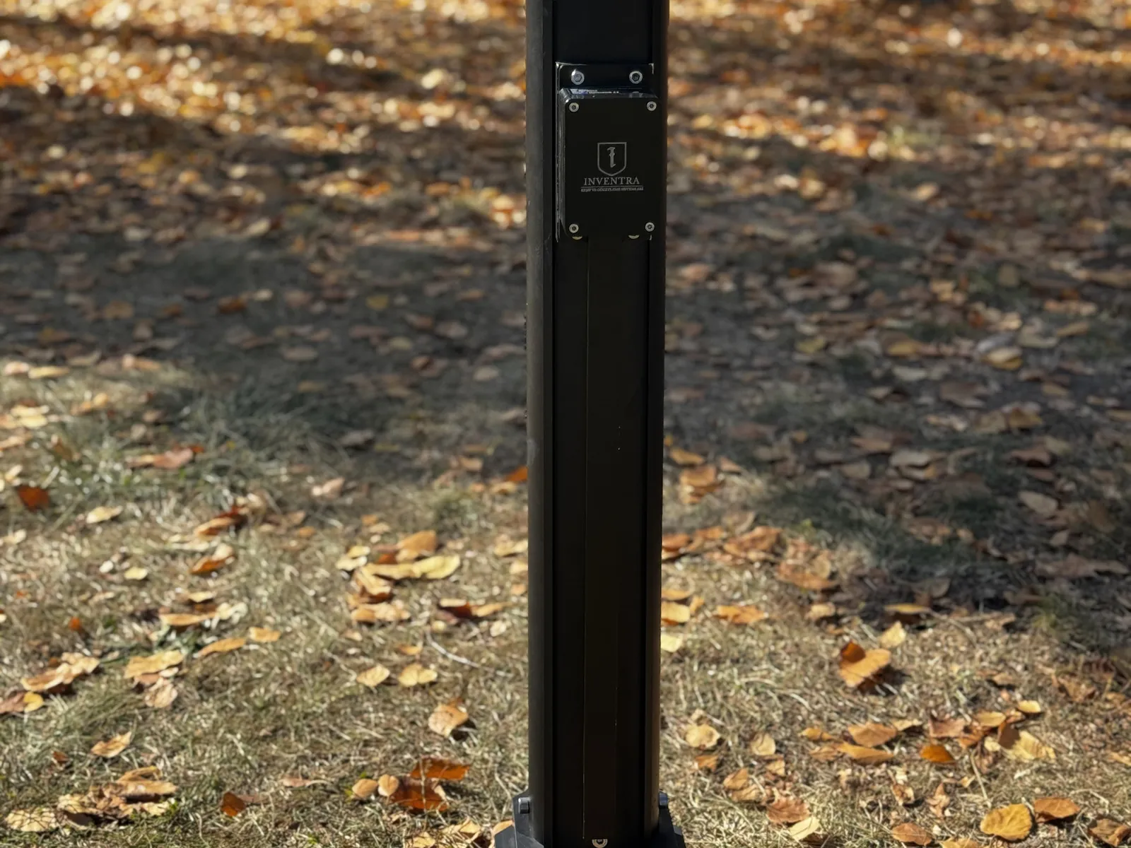 Mast deployed in an autumn forest, showing the field context