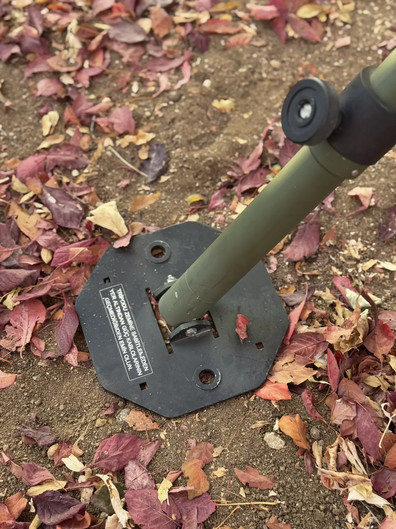 A foot plate and its pin