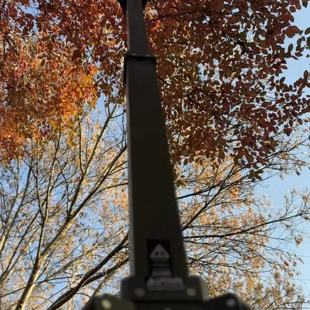 The column climbing into the autumn branches