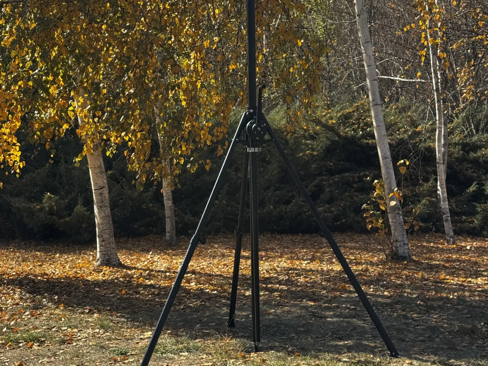 System set up in an autumn park with birch trees behind