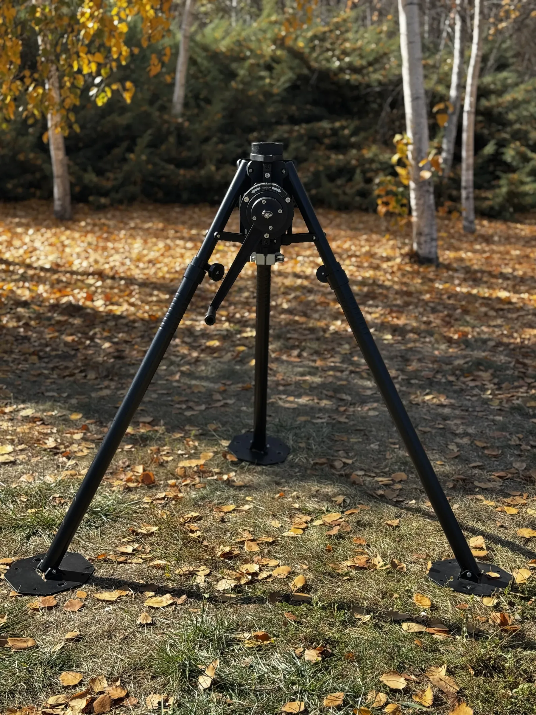 MMT10 on the autumn leaves
