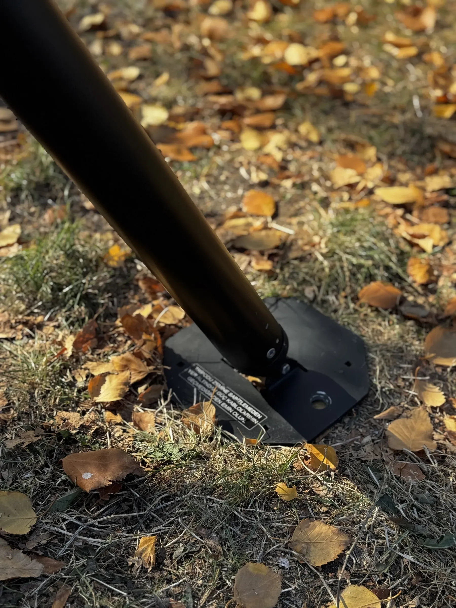 A foot plate bedded on wet leaves