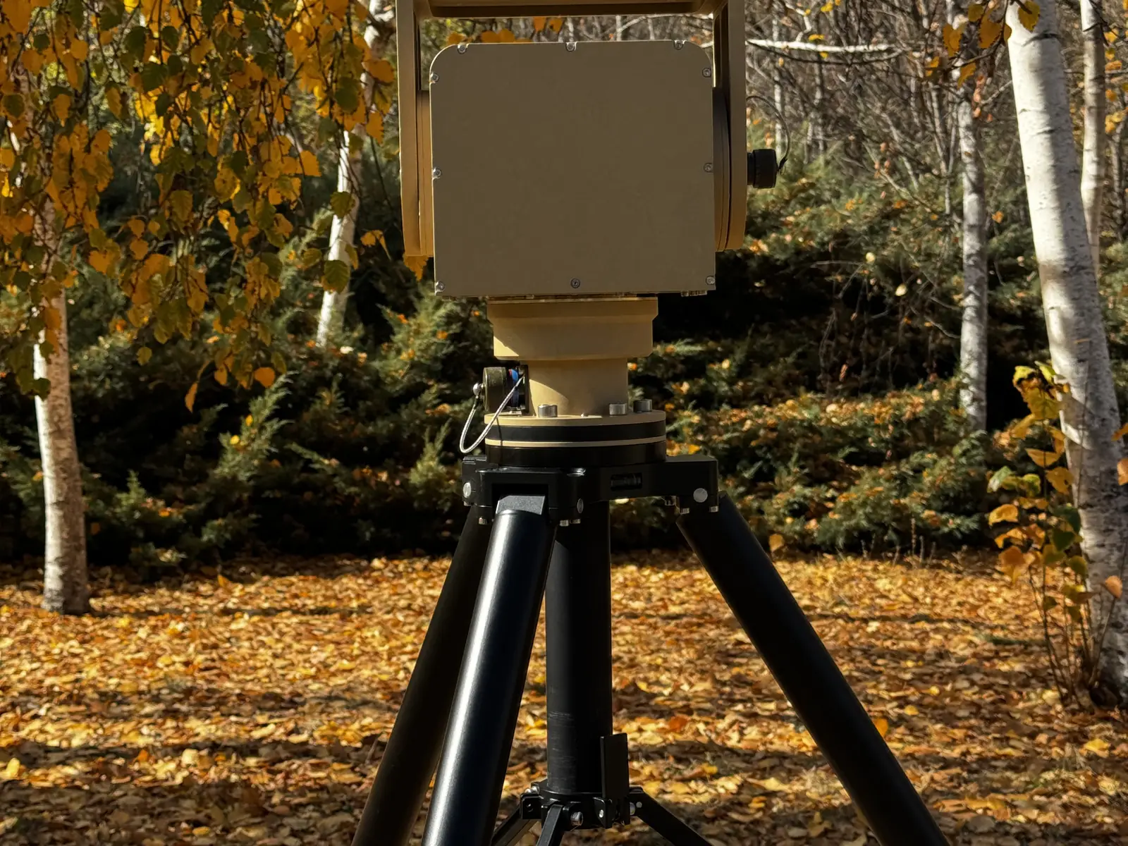 Unit with the full TMM10 tripod in a birch wood, giving a sense of size