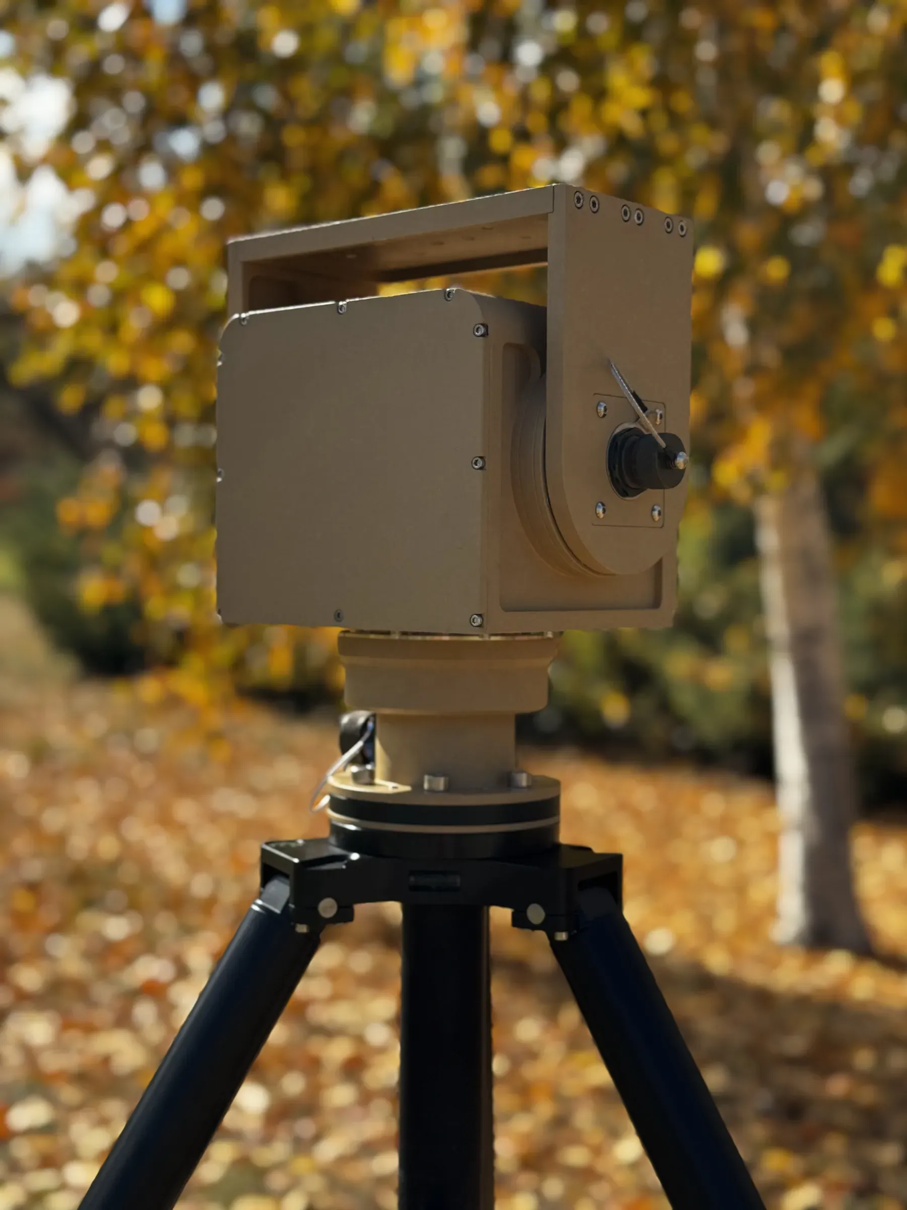 PED08 on a tripod in birch wood