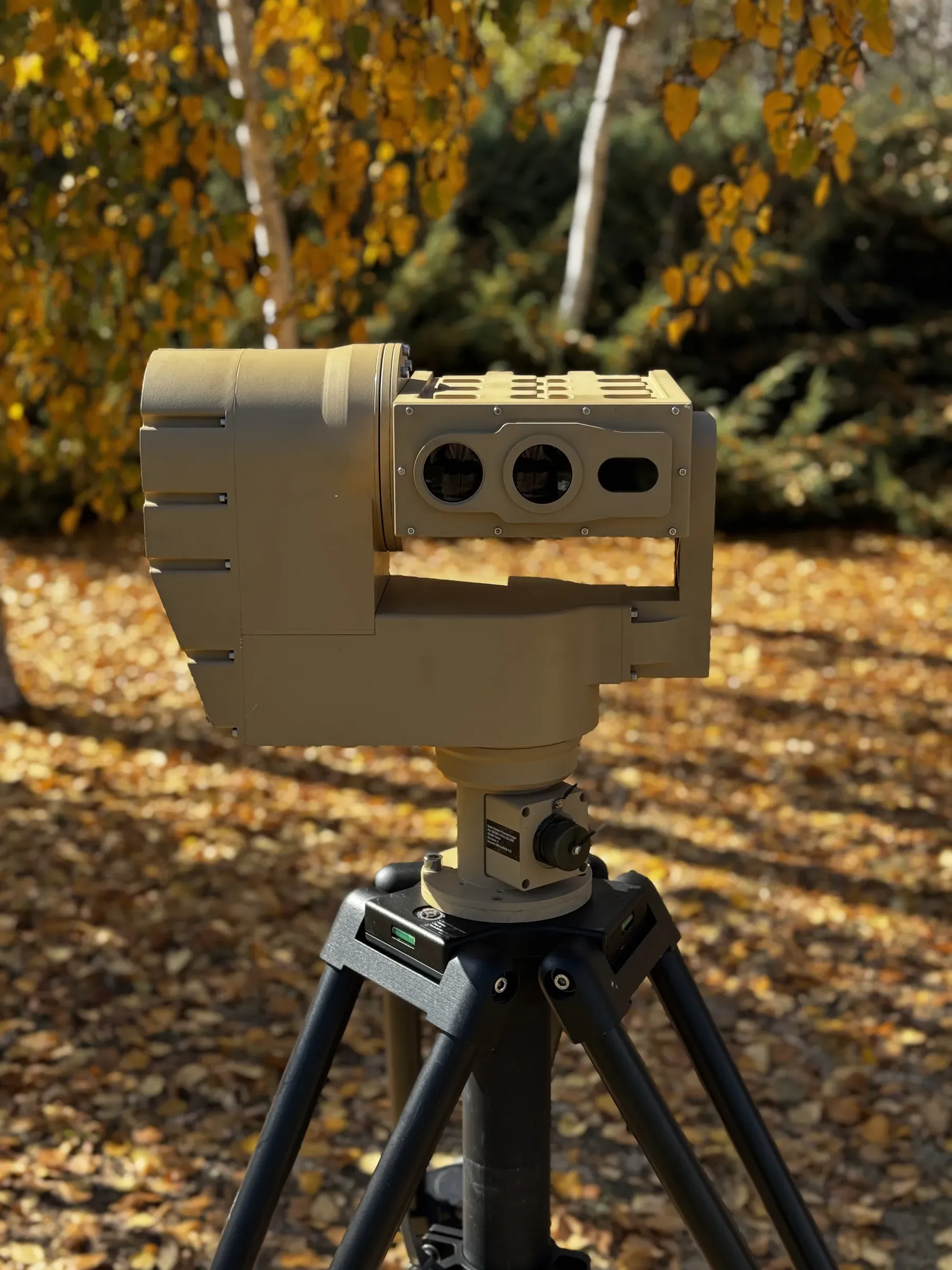 Tan PED12 positioner with multi-aperture sensor head on a black tripod, standing on autumn leaf litter among birch trees.