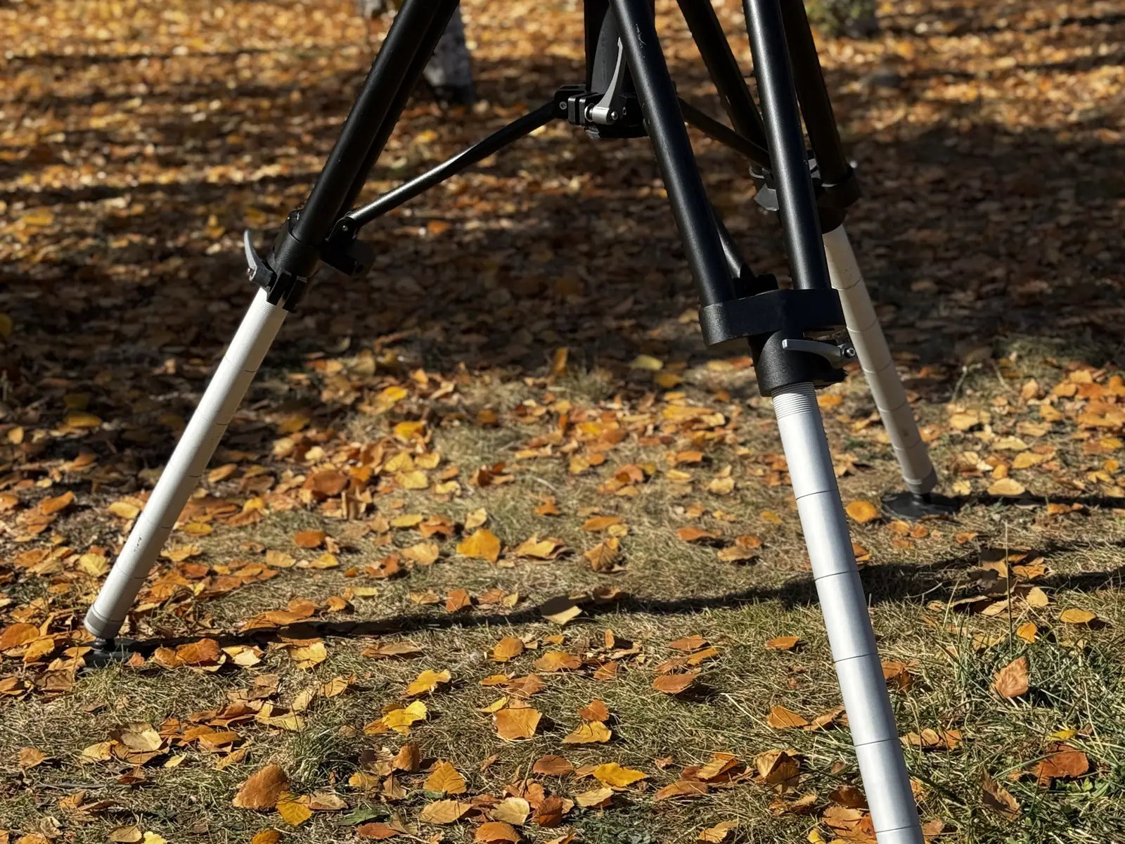 Tripod deployed in an autumn park at three-quarter angle: brace frame and extended aluminium legs