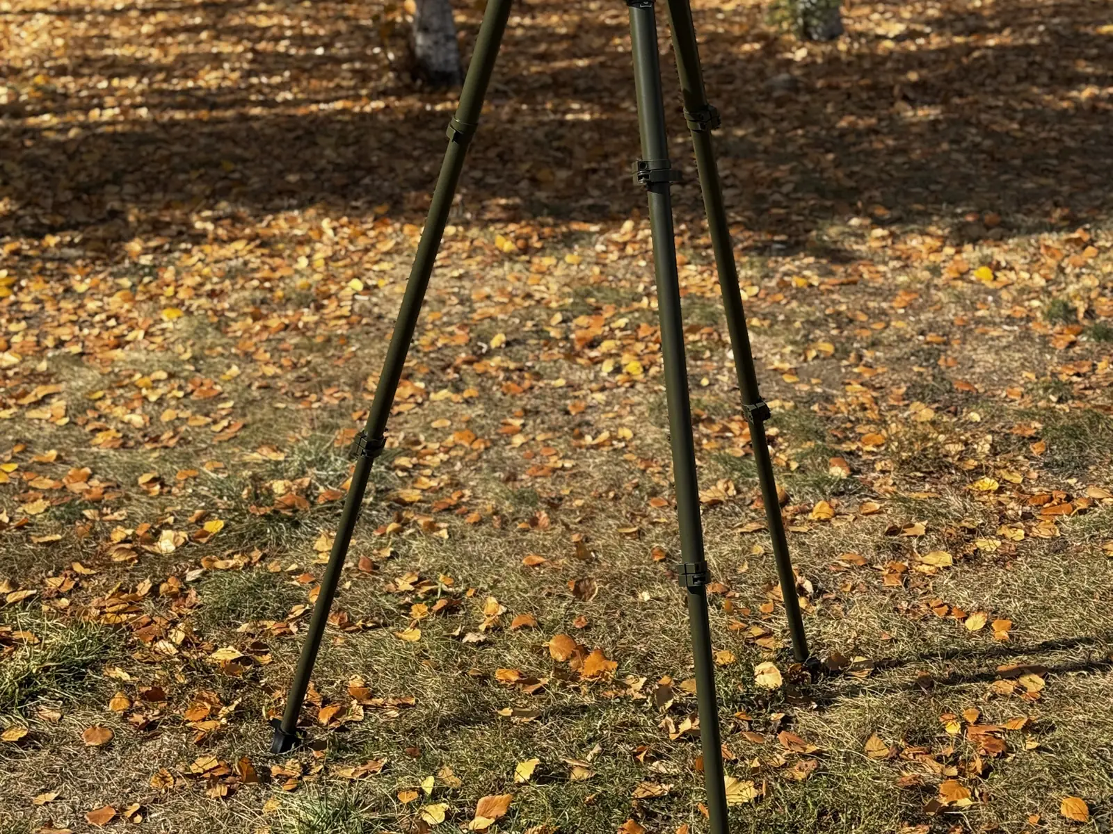Ultra lightweight tripod deployed in an autumn park: top hub, the centre leg carrying a numbered height scale, and thin olive tubes
