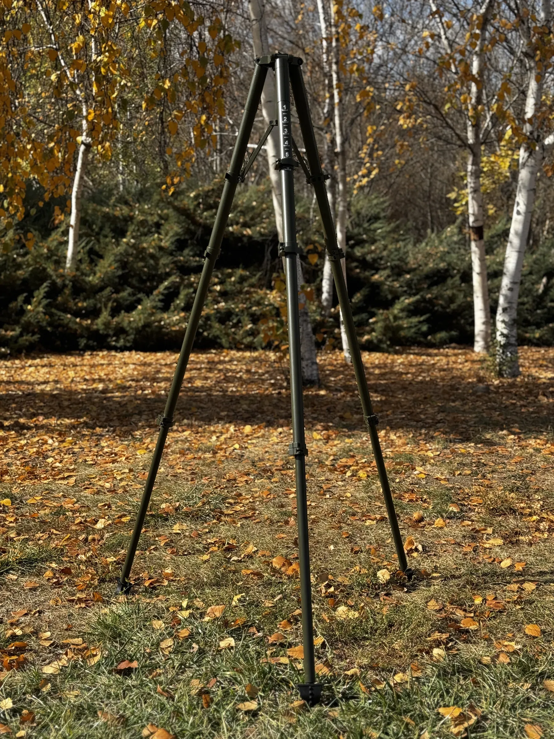 TML10 set up among the birches