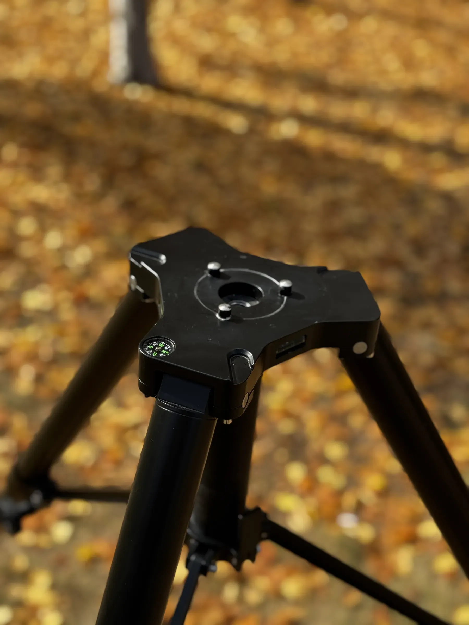 The head plate: mounting bore and compass