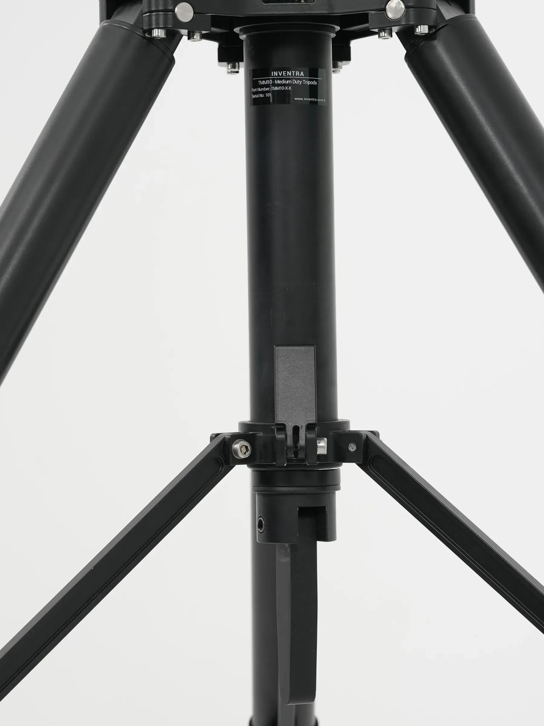 The column and braces under the head